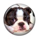 Cabochon Résine - chien
