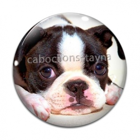 Cabochon Verre - chien