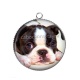 Pendentif Cabochon Argent - chien