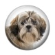 Cabochon Résine - chien