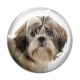 Cabochon Verre - chien