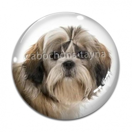 Cabochon Verre - chien