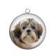 Pendentif Cabochon Argent - chien