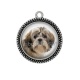 Pendentif Cabochon Argent - chien