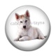 Cabochon Résine - chien