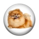 Cabochon Résine - chien