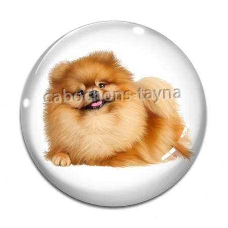 Cabochon Verre - chien