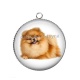 Pendentif Cabochon Argent - chien