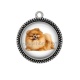 Pendentif Cabochon Argent - chien