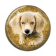 Cabochon Résine - chien