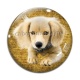 Cabochon Verre - chien