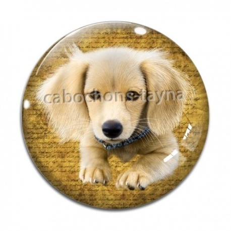 Cabochon Verre - chien