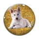 Cabochon Verre - chien