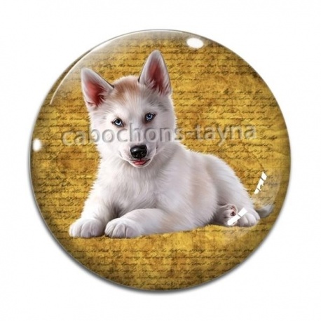 Cabochon Verre - chien
