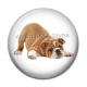Cabochon Résine - chien