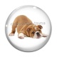 Cabochon Verre - chien