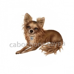 chien