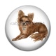 Cabochon Résine - chien