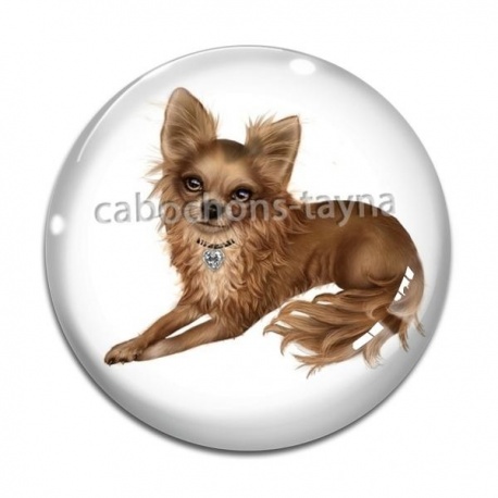 Cabochon Verre - chien