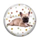 Cabochon Verre - chien