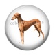 Cabochon Résine - chien
