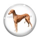 Cabochon Verre - chien