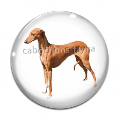Cabochon Verre - chien