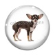 Cabochon Verre - chien