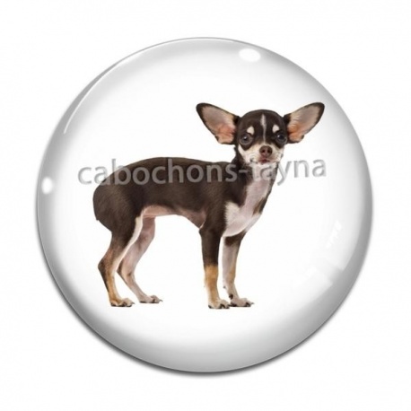 Cabochon Verre - chien