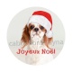 chien joyeux noël