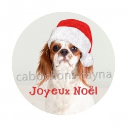 chien joyeux noël