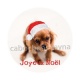 chien joyeux noël