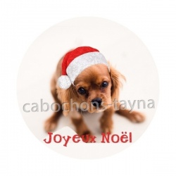 chien joyeux noël