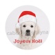 chien joyeux noël