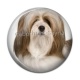 Cabochon Résine - chien 