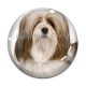 Cabochon Verre - chien 