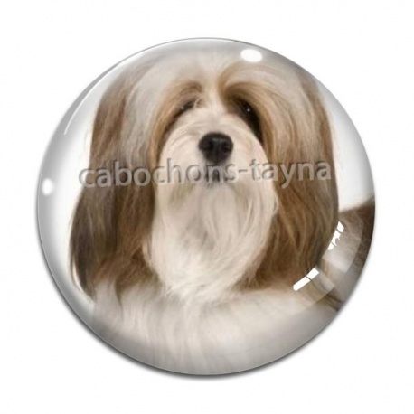 Cabochon Verre - chien 