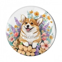 chien 