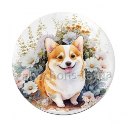 chien 