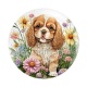 chien 