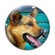 Cabochon Verre - chien 