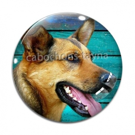 Cabochon Verre - chien 