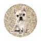 chien 