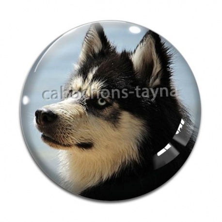 Cabochon Verre - chien 