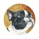 chien 