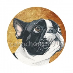 chien 