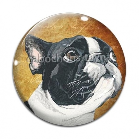 Cabochon Verre - chien 