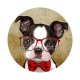 chien 