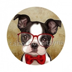 chien 