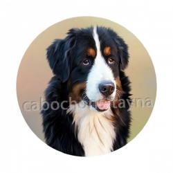 chien 